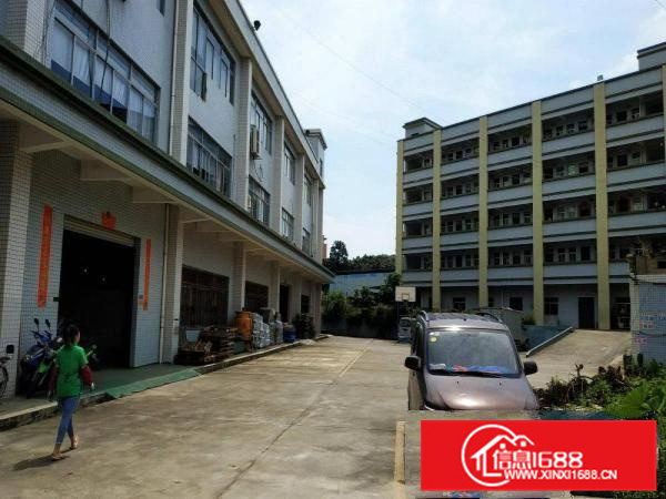 出租惠阳新墟原房东红本独院7890平方证件齐全可分租