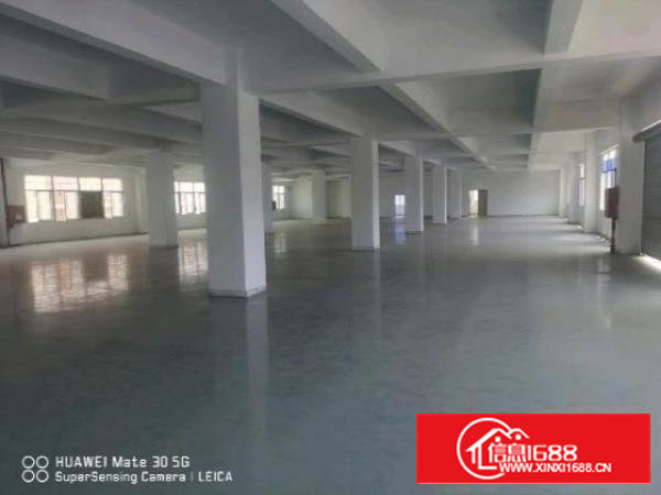 沙井大王山附近，全新地坪漆天花吊顶，随时看房