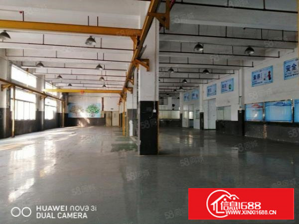 塘厦科苑城新出一楼1500平，现成行车办公，无公摊原房东出租