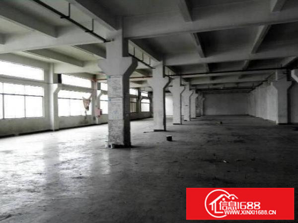 龙岗中心城新出一楼标准厂1500平带装修招租