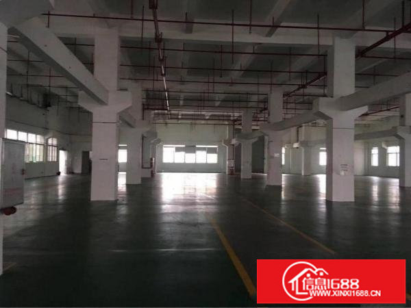 出租龙岗区坪地附近8米高带牛角！红本标准一楼2000平方