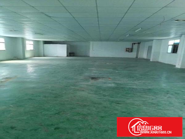 大岭山新出原房东800平方厂房招租，精装修地坪漆带办公室！！