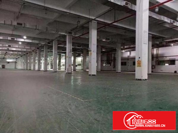 万江流涌尾标准厂房一楼2000平方出租适合五金、机械等行业