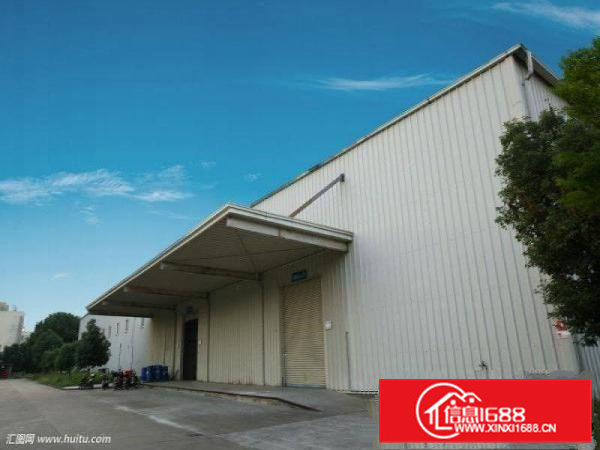 横沥田头村全新单一层九米高带牛角独院厂房出租