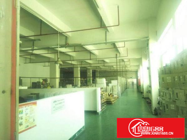 龙岗区坪地高桥新出1520平楼上标准厂房出租