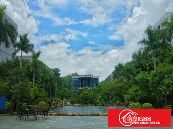 横岗梧桐山下原房东厂房