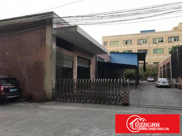 观澜独院厂房出租1500平独立小院