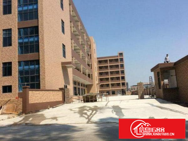 常平朗洲独院标准厂房现有4700平米出租