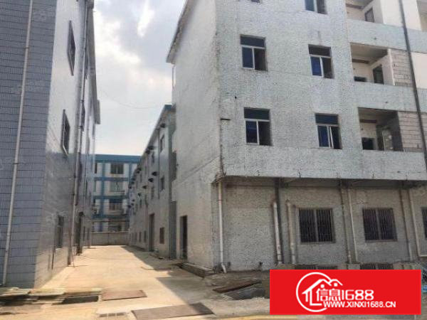 桥头镇新出标准厂房三楼1000平方，可办环评