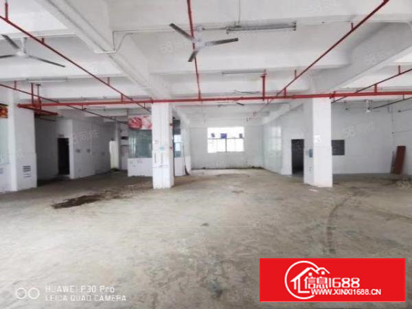 物业直租沙井107国道新出一楼600平米带装修厂房图片实拍