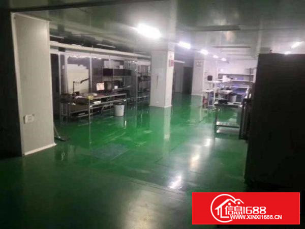 塘厦科苑城原房东无尘车间1000㎡