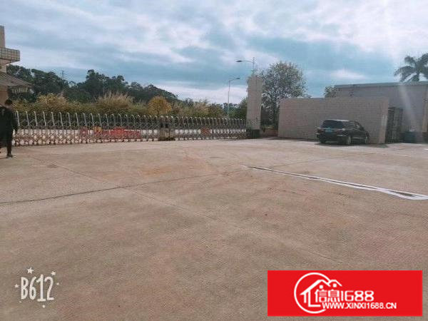 快来！空地可停飞机！坪山坑梓新空出一楼1000平红本厂房