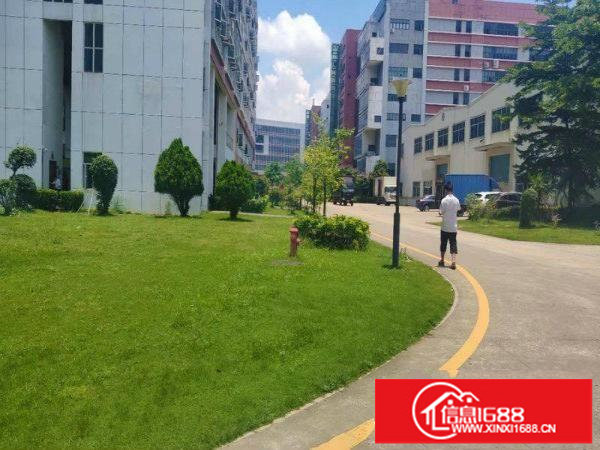 哇！好靓！花园式的环境！坪山大工业区全新1000平厂房招租！