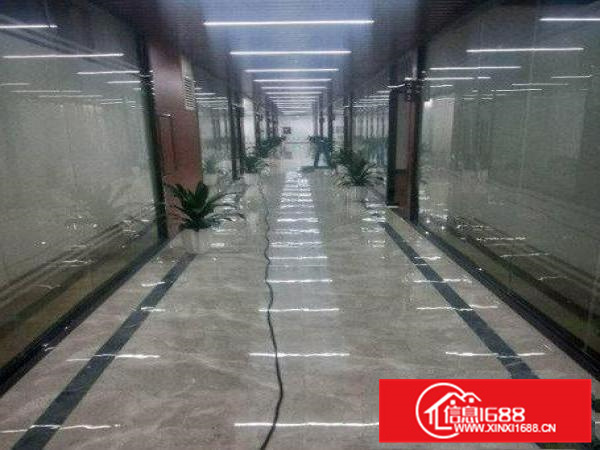 甘陂新出原房东带消防喷淋一楼3500平出租