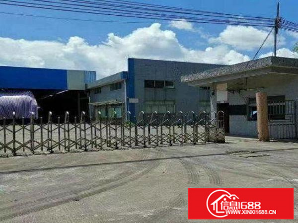 廉价出租！丹灶建设村钢构1300平带装修厂房