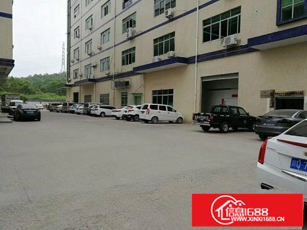 樟坑径新出原房东二楼1580平方带装修