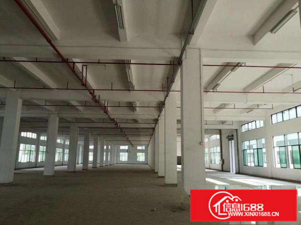 桥头东部快速边标准厂房2850一层带牛角位消防喷淋