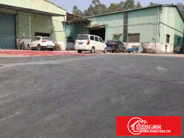 大岭山新出独门独院7000平单一层钢构厂房