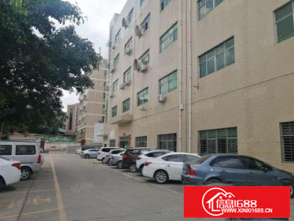 新田社区A栋一楼750租32元带豪华装修有红本