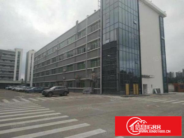 龙岗南联1500平厂房出租现成装修，办公室地坪漆，