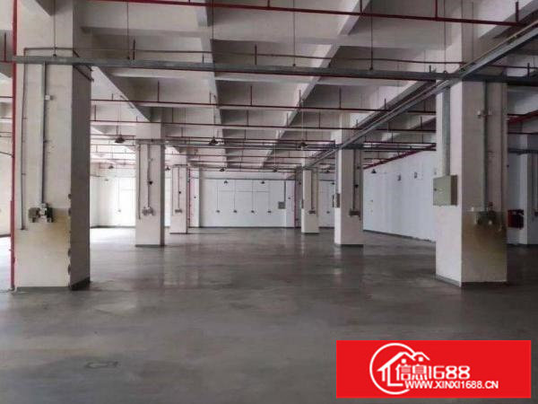 横岗安良一楼豪华装修厂房2900平出租，无需转让费