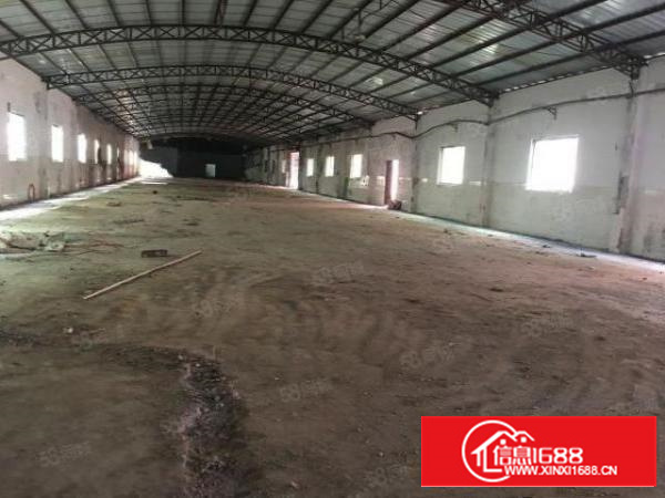 万江新出独门独院10米高单一层厂房招租