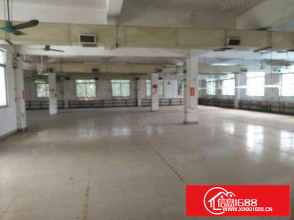 顺德主干道旁2200平独门独院，整租10元，空地大好停车