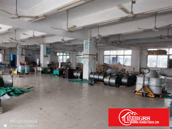 塘厦振兴围2380独院,配电大,形象好,原房东仅租16元!