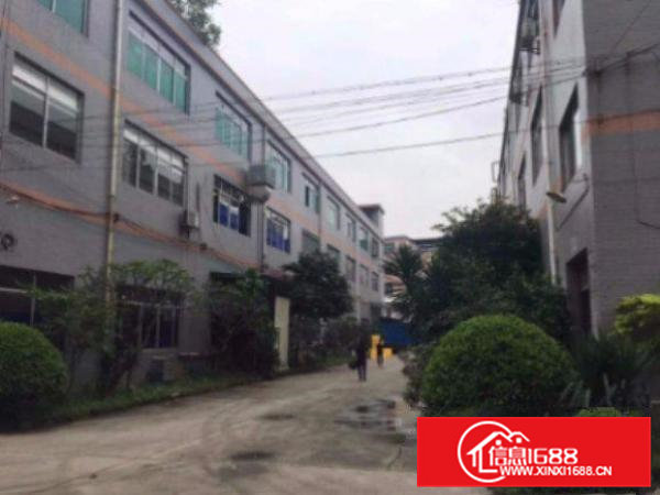 清溪塘厦科苑城标准厂房一楼800平出租水电齐全空地大