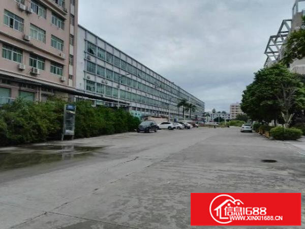 坪地一楼整层1700平层高6米带大空地厂房18元出租