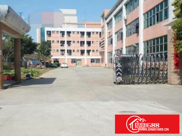 独院厂房4200平方火爆招租（可以分租）