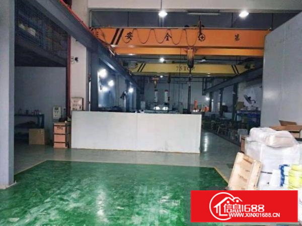 金洲工业区1楼500平厂房，6米高带行车装修水电