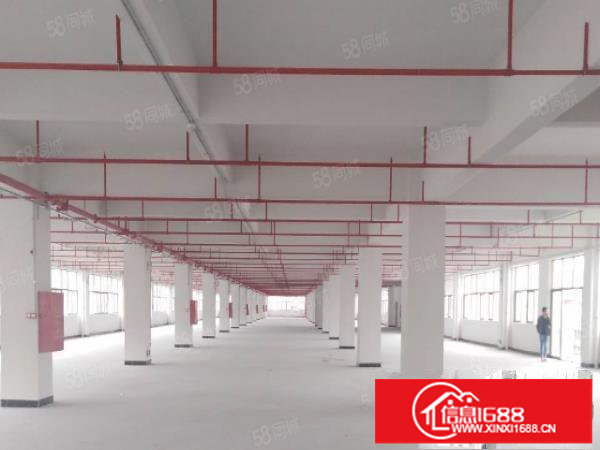 形象红本厂房出租面积大小可分租1500平方精装办公室