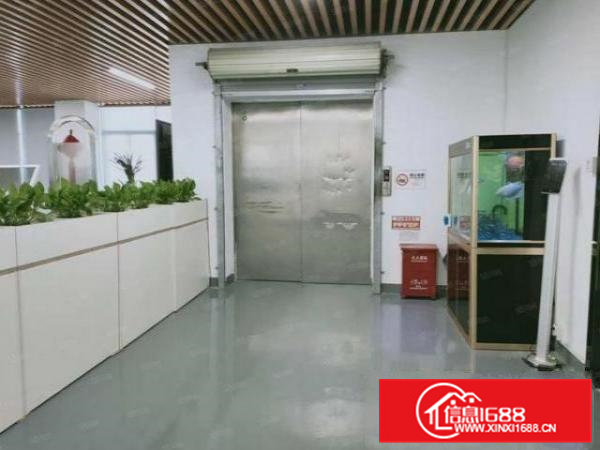虎门赤岗社区新出楼上厂房830平出租豪华装修