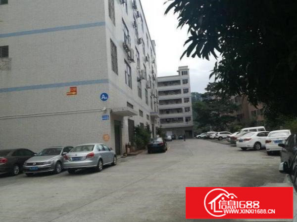 出租龙岗区龙岗楼上一整层500平带装修厂房