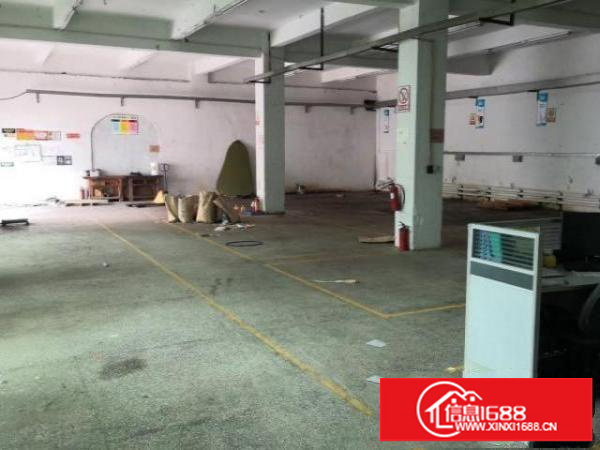 观澜新田一楼厂房出租