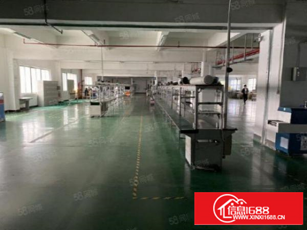 独门独院原房东6000平标准厂房出租形象好空地大，500起分