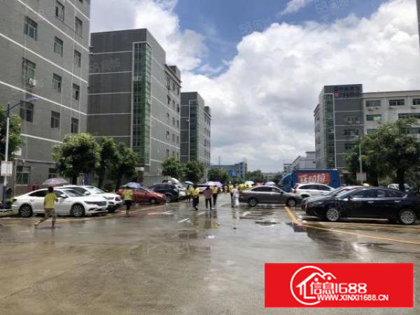 村委无公摊厂房2整层1000平米，带精装修无转让费，拎包入驻