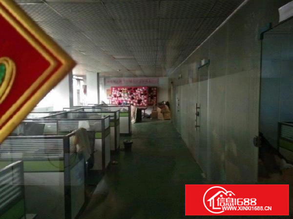 虎门南栅精品独门独院小独院1600平米