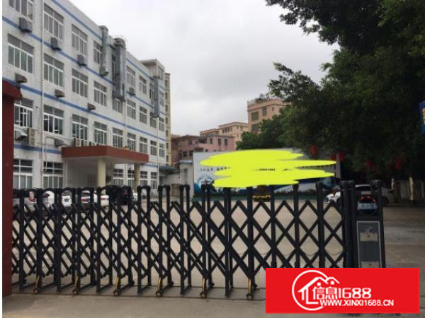 龙岗中心城原房东工业独门独院厂房出租4800平可分租