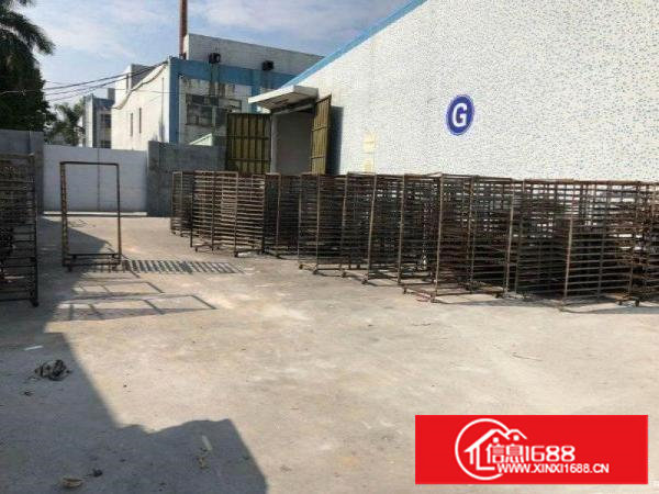 塘厦靠近凤岗新出独栋2000平方钢结构