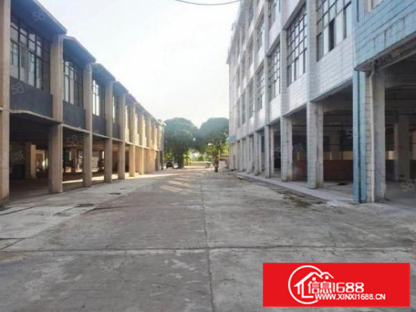 高明区荷城沿江路37号盛妮汽车创意园标准厂房出租。