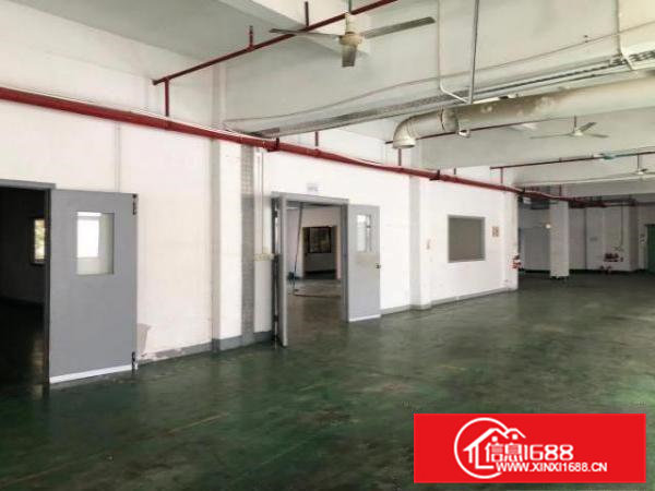 出租横沥横沥城区厂房