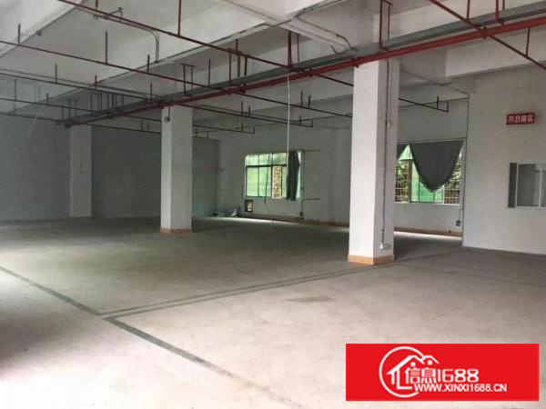 坂田上雪科技园一楼1000平方出租