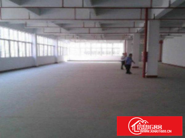 高埗.标准厂房分租楼上2楼1400平超大超靓交通方便，好招