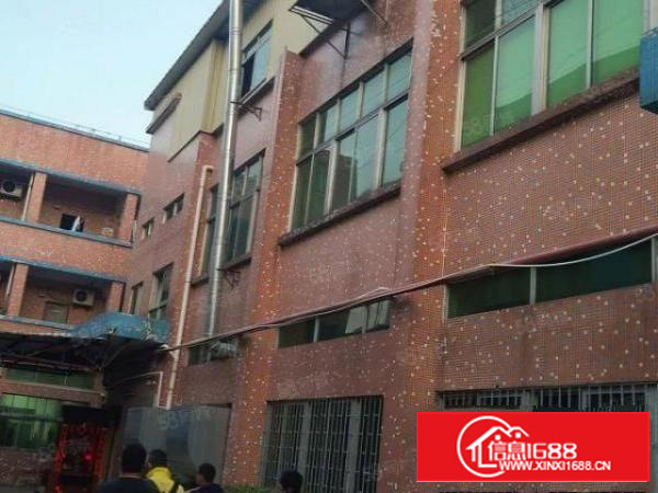 万江简沙洲楼房独院2500平方，空地超大